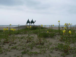 P7016163shuusei.JPG