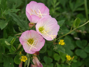 P7016173shuusei.JPG