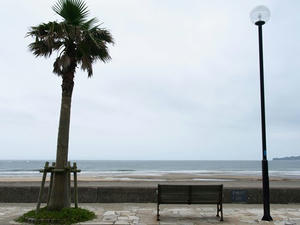 P7016189shuusei.JPG