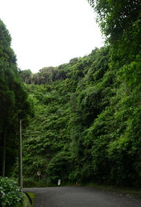P7016200SHUUSEI.JPG