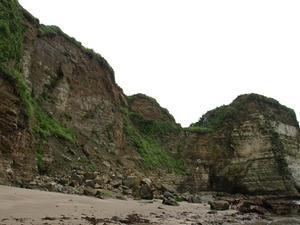 P7016219SHUUSEI.JPG