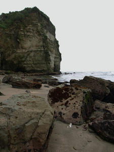 P7016221SHUUSEI.JPG