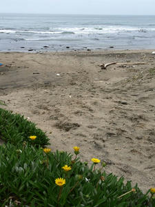 P7016233SHUUSEI.JPG