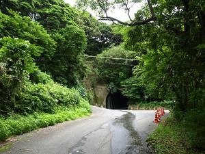 P7016249shuusei.JPG