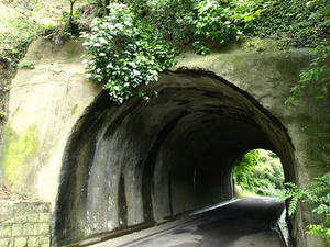 P7016251shuusei.JPG