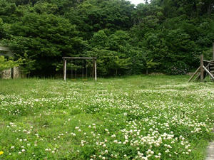P7016263shuusei.JPG