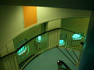 P7016347shuusei.JPG