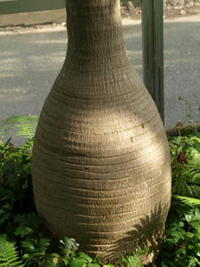 P7016452shuusei.JPG