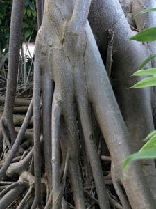 P7016498shuusei.JPG