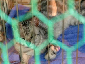 P7016500shuusei.JPG