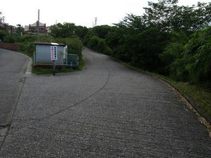 P7016565shuusei.JPG
