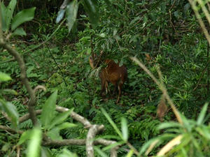 P7016602shuusei.JPG