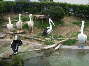 P7027141shuusei.JPG