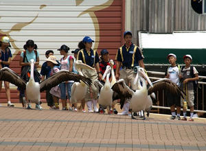 P7027428shuusei.JPG