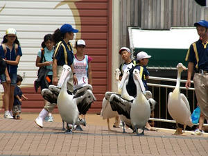 P7027431shuusei.JPG