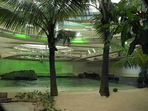 P7026749shuusei.JPG
