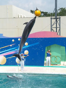 P7026936shuusei.JPG