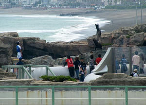 P7027374shuusei.JPG