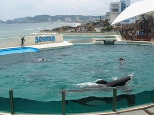 P7027366shuusei.JPG