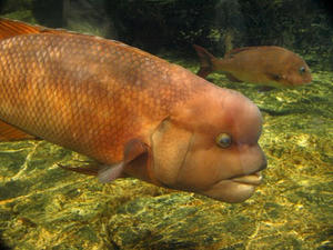 P7027850shuusei.JPG
