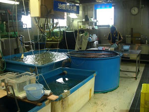 P7027377shuusei.JPG
