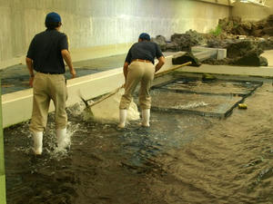 P7027390shuusei.JPG