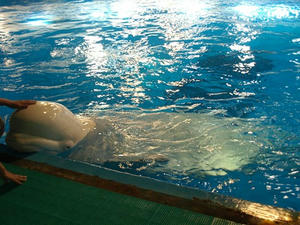 P7027403shuusei.JPG