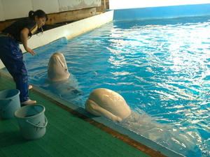 P7027419shuusei.JPG
