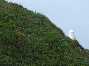 P7118119shuusei.JPG