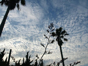 P7118123shuusei.JPG