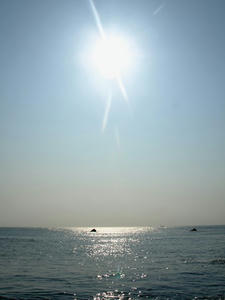 P7128145shuusei.JPG