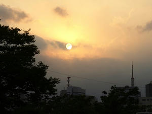 P8101927shuusei.JPG