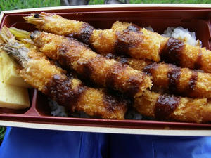 P8230004shuusei.JPG
