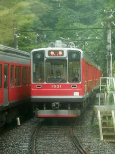 P8230025shuusei.JPG