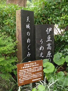 P7159111shuusei.JPG