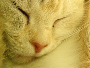 P6271061SHUUSEI.JPG
