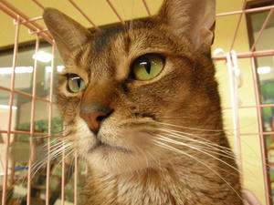 P6271064SHUUSEI.JPG