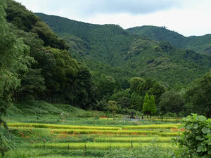 P9207708shuusei.JPG