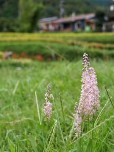 P9207683shuusei.JPG