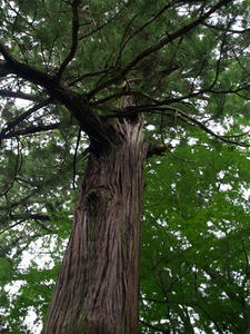 P9207755shuusei.JPG