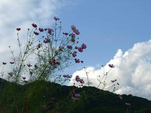 P9207794shuusei.JPG