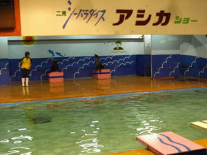 P9024260shuusei.JPG