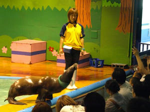 P9024267shuusei.JPG