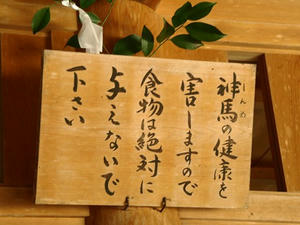 P9024561shuusei.JPG