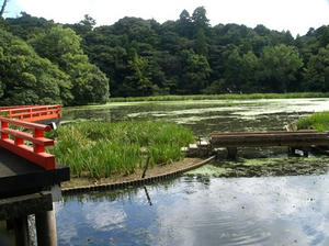 P9024570shuusei.JPG