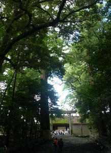 P9024607shuusei.JPG