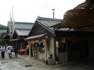 P9024641shuusei.JPG