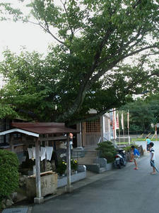 P9024704shuusei.JPG
