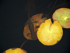 e9827767.JPG