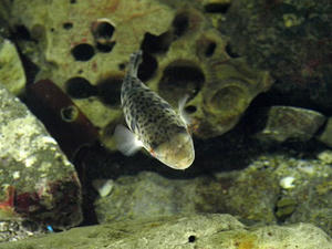 P9045714shuusei.JPG